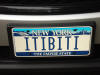 ITIBITI new york